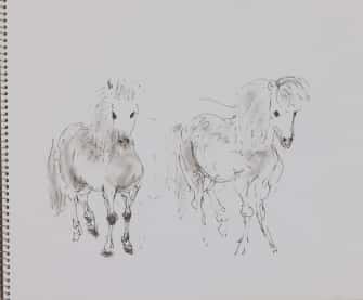 Deux poneys